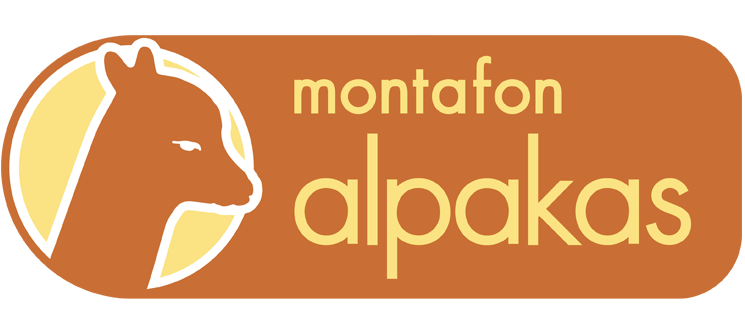 Alpaka Wanderung in Vorarlberg / Montafon