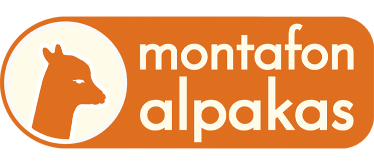 Alpaka Wanderung in Vorarlberg / Montafon